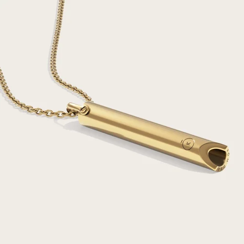 KOMUSO SHIFT PENDANT & CHAIN - 14K GOLD