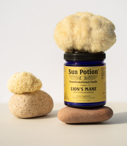 SP LION'S MANE 100G - Image 2