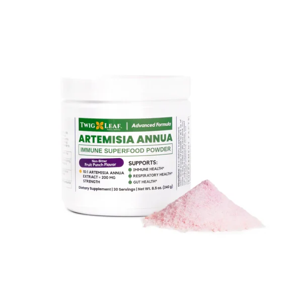 ARTEMESIA ANNUA - Image 2
