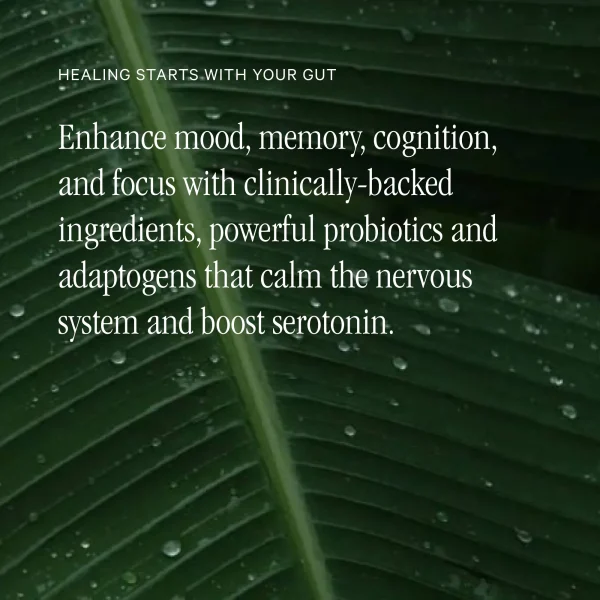 GUT THERAPY - Image 2
