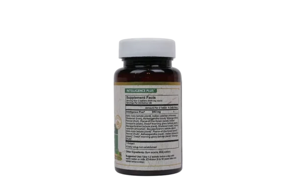 INTELLIGENCE PLUS - Image 2