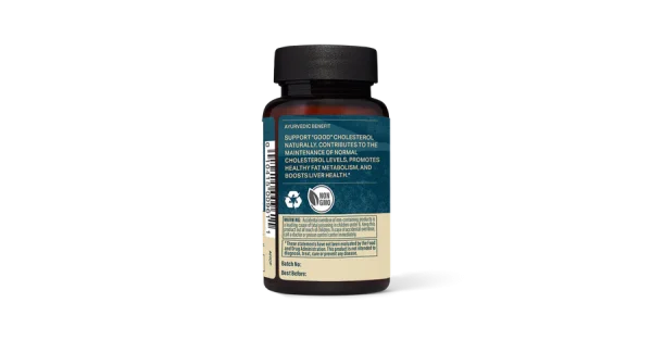 CHOLESTEROL PROTECTION - Image 2