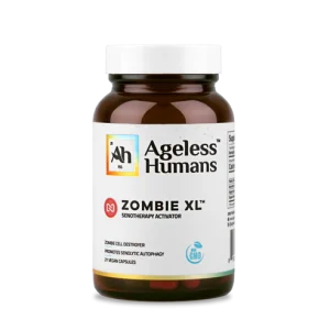 ZOMBIE XL