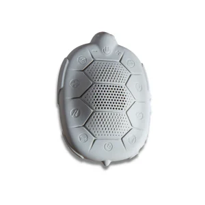 Misty morning turtle shell