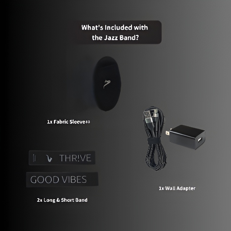 JAZZ BAND LIVE PRO - Image 5