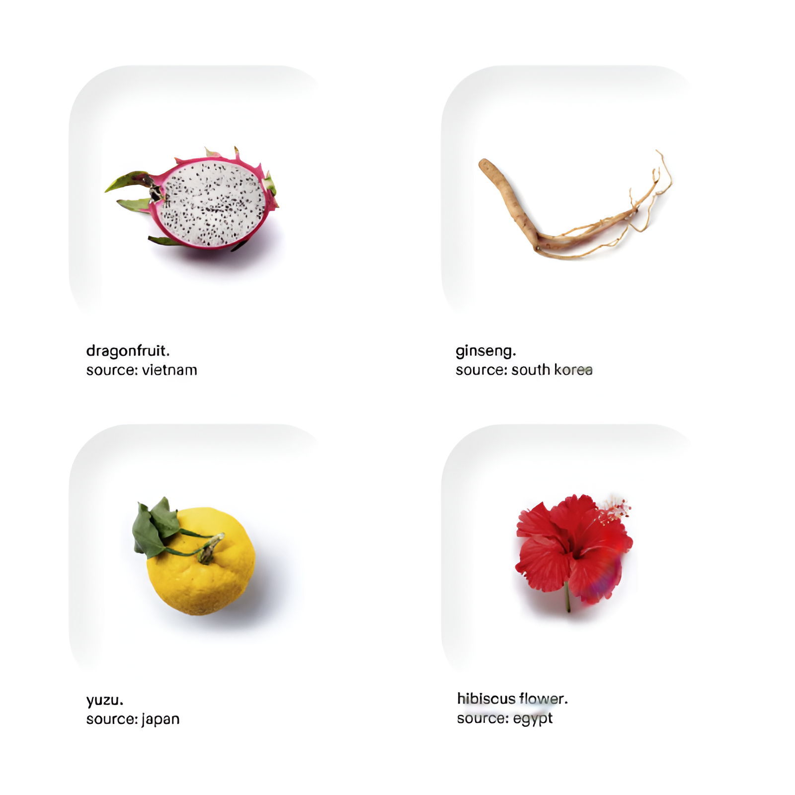 SUPERPLANT BODY SERUM+ - Image 2